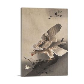 Hawk Hunting (Type: Standard Framed Canvas Print, size: 40" x 26" / 100cm x 65cm (approx))